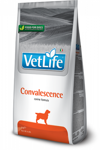 FARMINA Vet Life DOG Convalescence Сухой корм д/собак Диета (период выздоровления) 2 кг