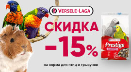 Скидка 15% на корма для птиц и грызунов Versele Laga