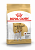 ROYAL CANIN Jack Russell Adult Сухой корм д/собак породы Джек Рассел 500 г