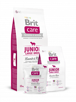 BRIT Care Junior Large Breed Сухой корм д/щенков крупных пород (3 мес- 2 года) Ягненок и рис
