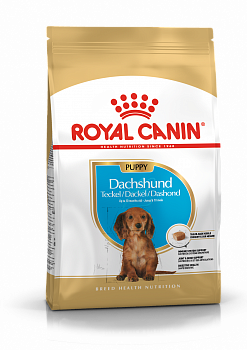 ROYAL CANIN Dachshund Junior Сухой корм д/щенков породы Такса 1,5 кг