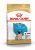 ROYAL CANIN Pug Junior Сухой корм д/щенков породы Мопс 1,5 кг