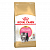 ROYAL CANIN Kitten Сухой корм д/котят породы Персидская