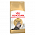 ROYAL CANIN Persian Adult Сухой корм д/кошек Персидской породы