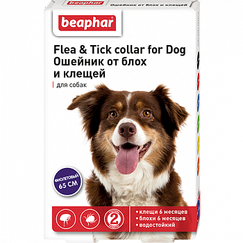 BEAPHAR Flea & Tick Collar Ошейник от блох и клещей для собак 65 см (фиолетовый)