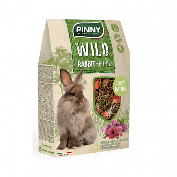 PINNY WM Корм для карликовых кроликов морковь клевер василек 600 гр 27.1253