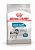 ROYAL CANIN Maxi Joint Care Сухой корм д/собак крупных пород для суставов