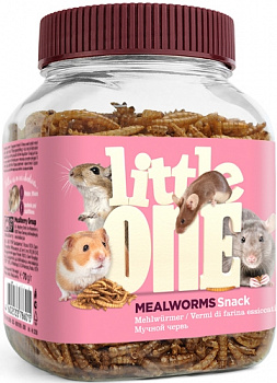 LITTLE ONE Лакомство для всеядных грызунов Мучной червь 70 г